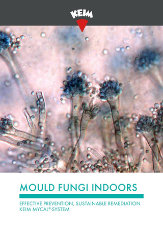 KEIM Mould fungi indoors