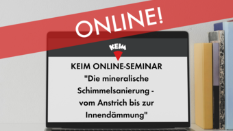 Online-Seminar: Mineralische Schimmelsanierung - vom Anstrich bis zur Innendämmung